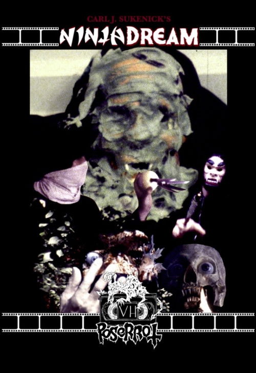 Ninja Dream (2019) poster