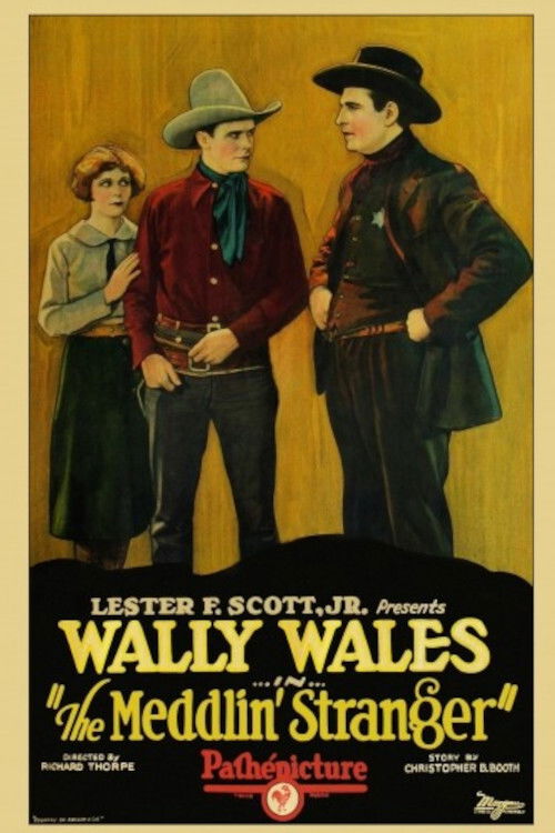 The Meddlin' Stranger (1927) poster