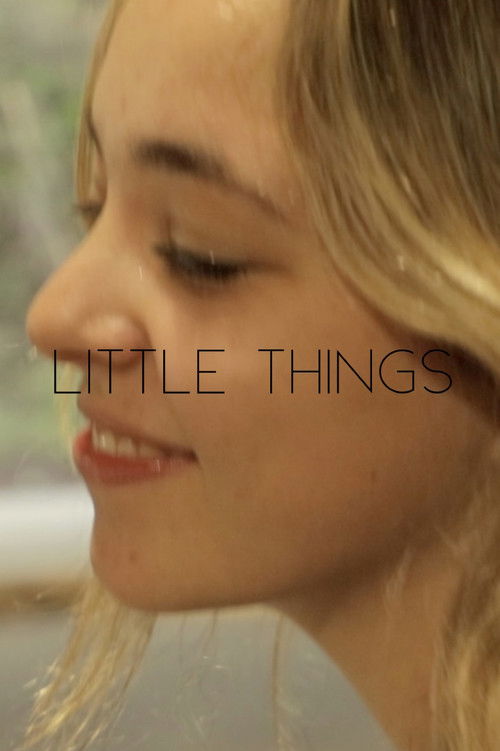 Little Things (2022) poster