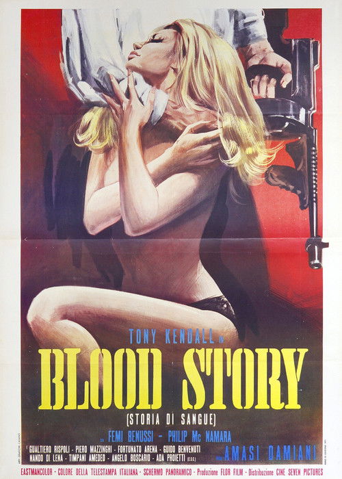 Blood Story (1972) poster