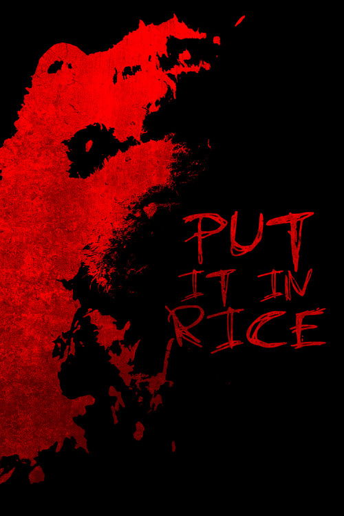 Put It In Rice poster