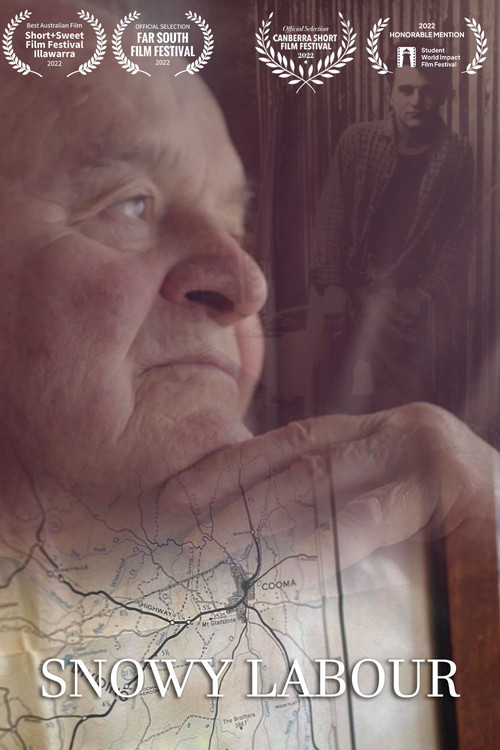 Snowy Labour (2022) poster