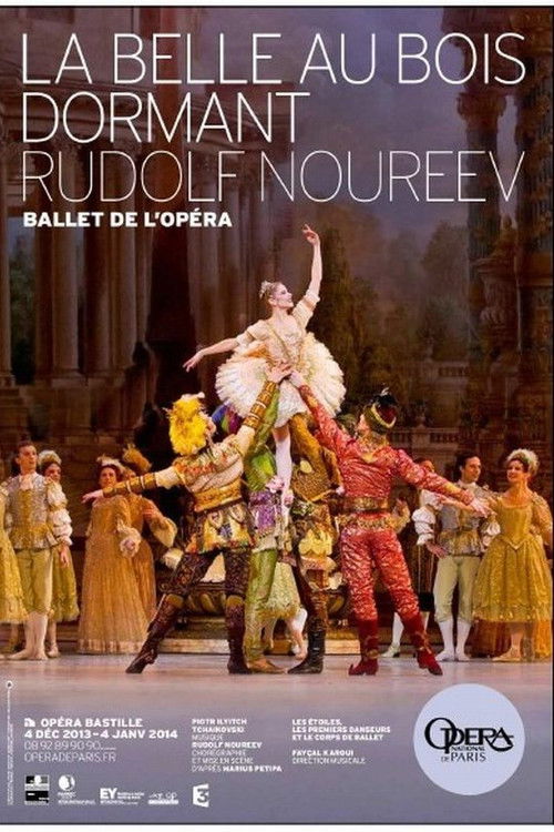 La Belle au bois dormant (2013) poster