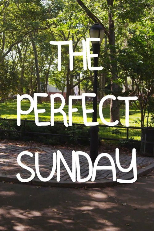 The Perfect Sunday (2012) poster