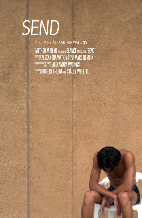 SEND (2017) poster