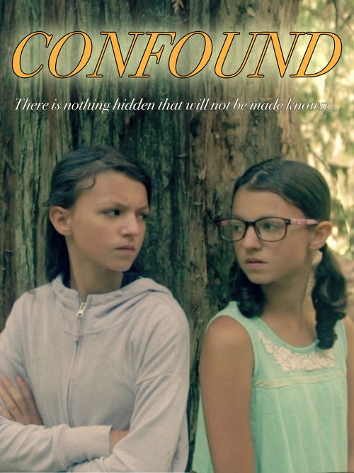 Confound (2019) poster