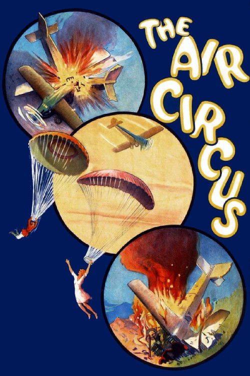 The Air Circus (1928) poster
