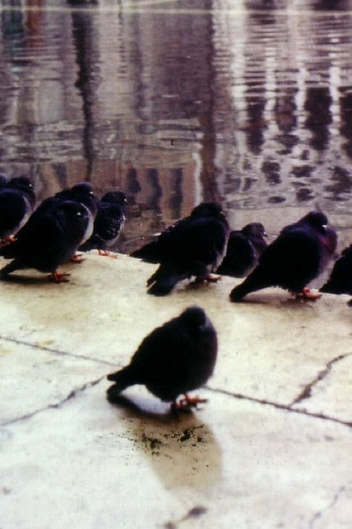 Une ville de la mer ou comment survivre à Venise (1970) poster