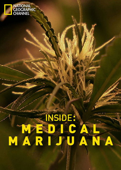 Inside: Medical Marijuana (2011) poster