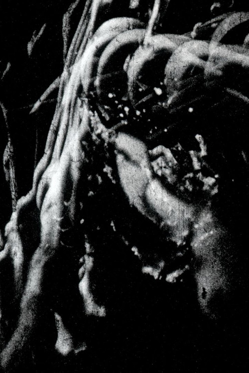 Traces (2014) poster