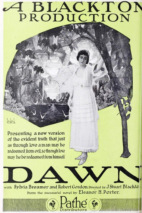 Dawn (1919) poster