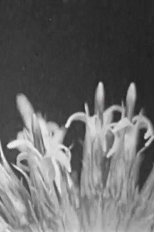 Like Lust (2015) poster