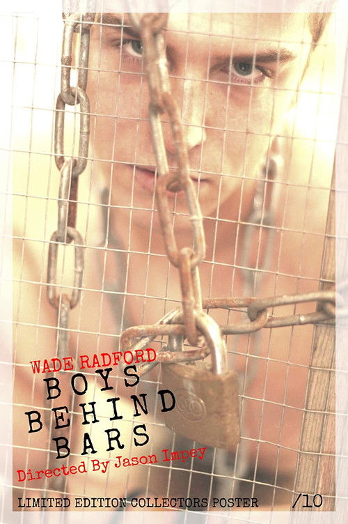 Boys Behind Bars (2013) poster