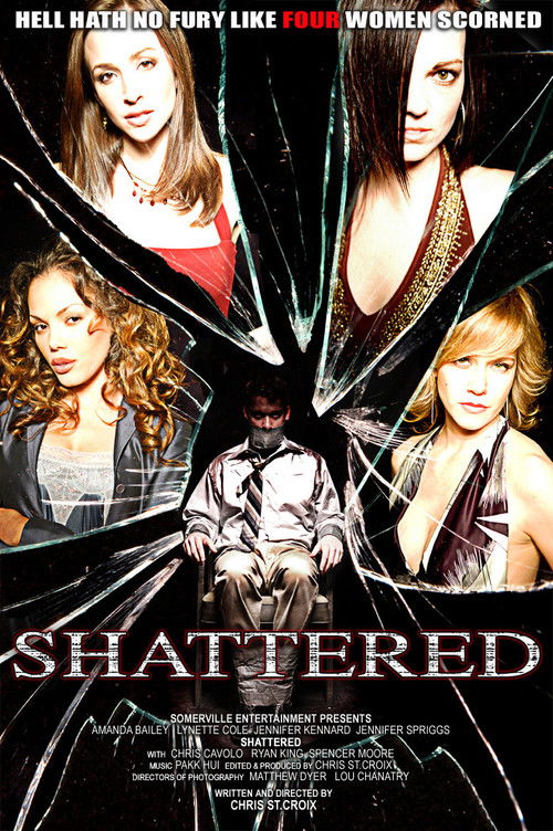 Shattered (2008) poster