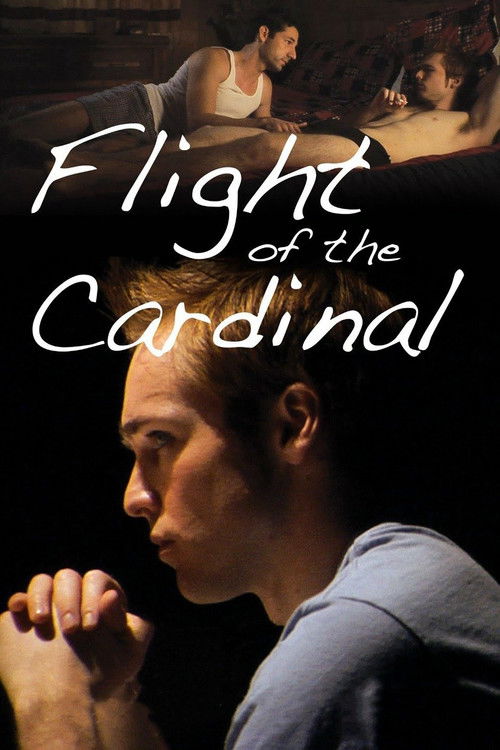Flight of the Cardinal (2010) poster