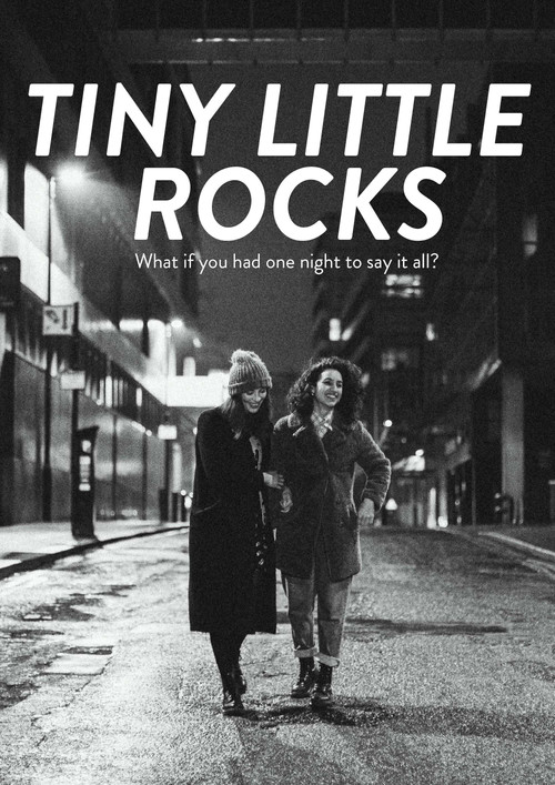 Tiny Little Rocks (2019) poster