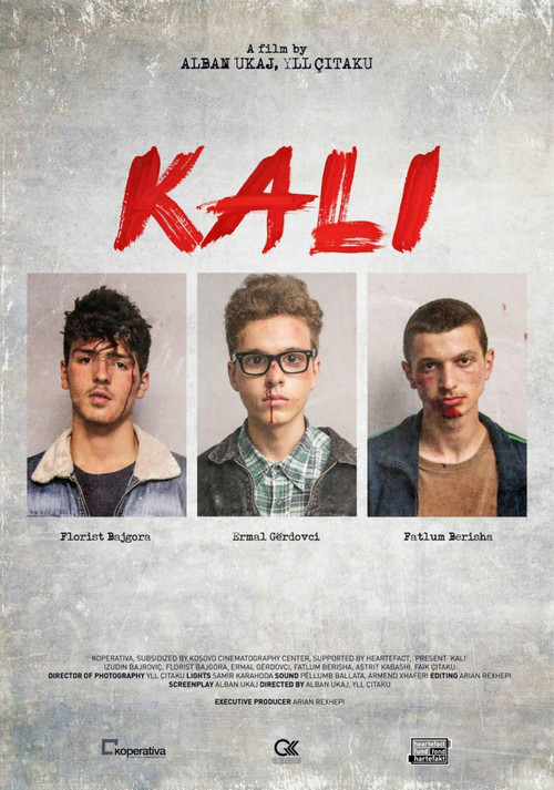Kali (2014) poster