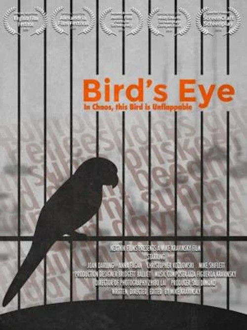 Bird's Eye (2020) poster