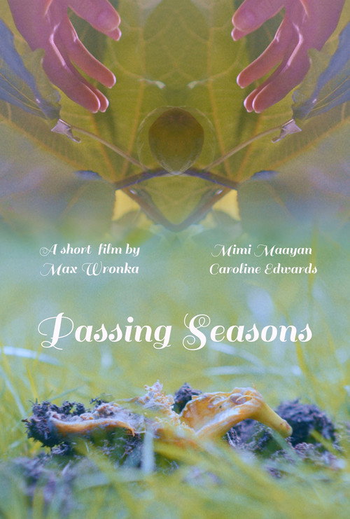 Passing Seasons poster