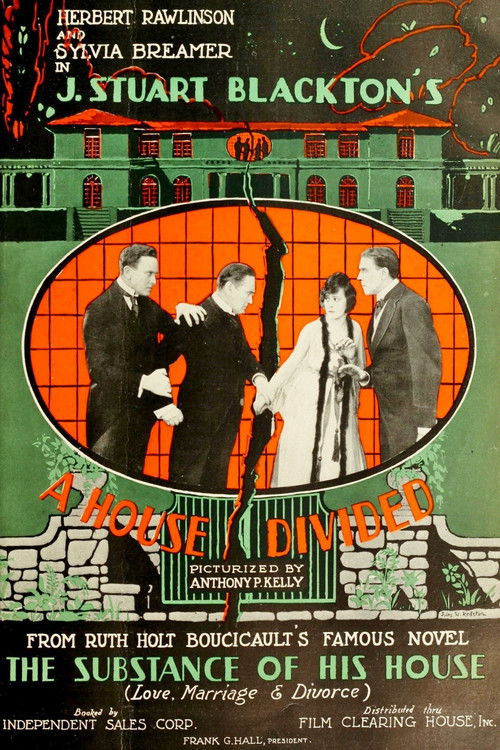 A House Divided (1919) poster