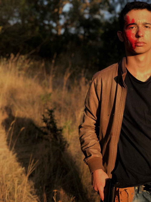 João & Alice poster