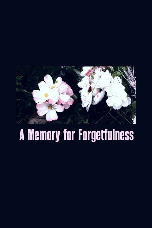 A Memory For Forgetfulness (2011) poster