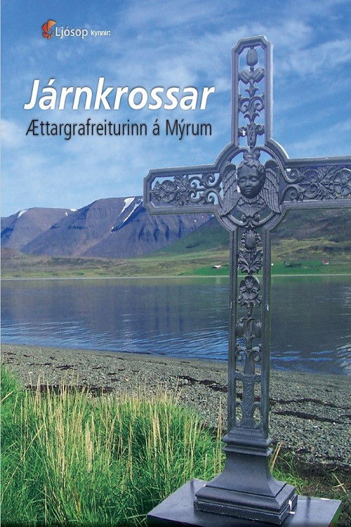 The Iron Cross at Mýrar Cemetery (2010) poster