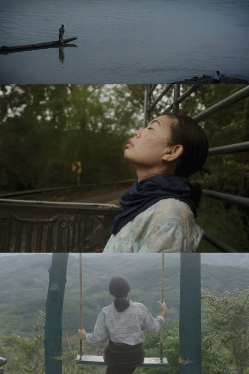 Because Watching Pacifies (2025) poster