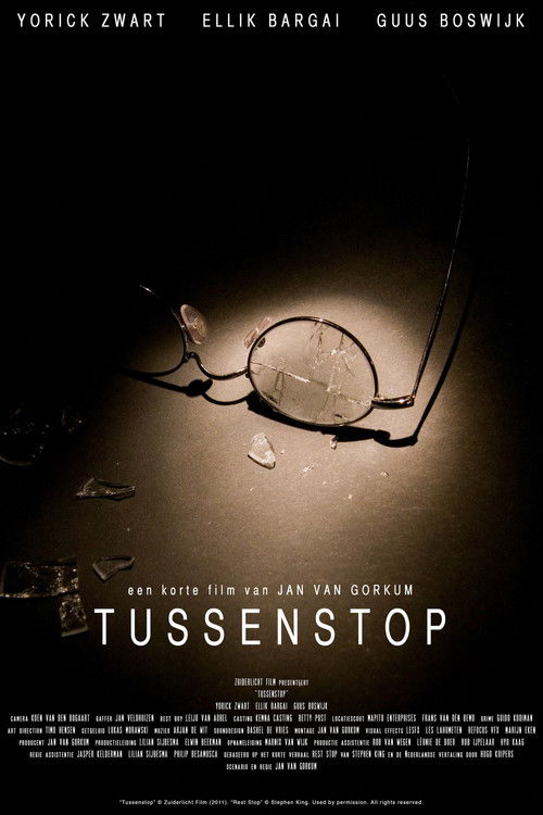 Tussenstop (2011) poster