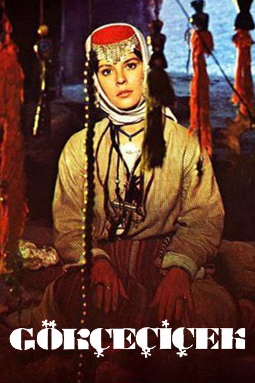 Gökçe Çiçek (1973) poster