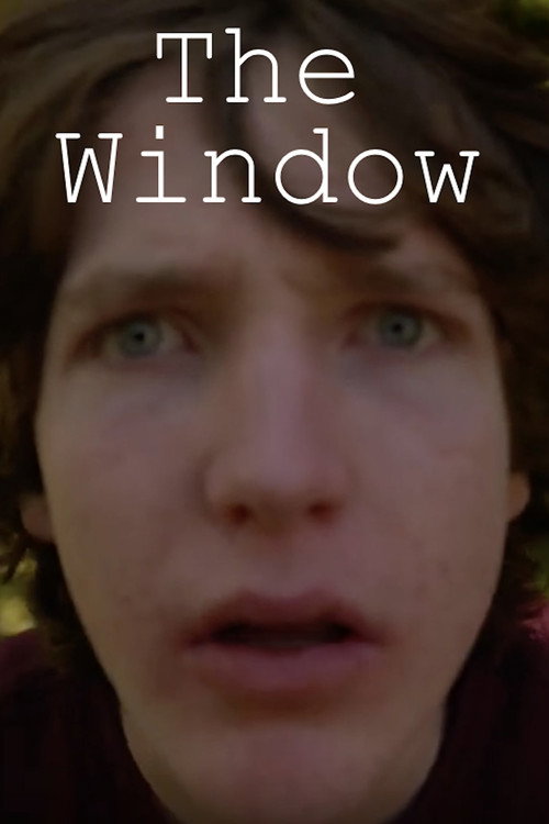 The Window (2024) poster