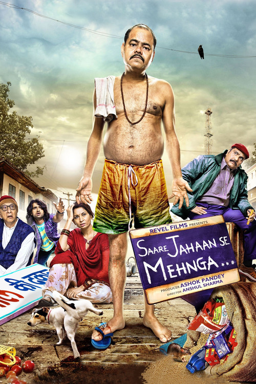 Saare Jahaan Se Mehnga (2013) poster