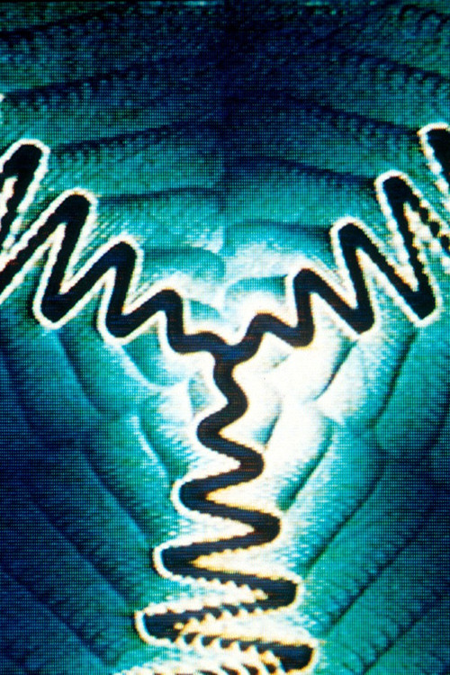 Spiral 5 PTL (Perhaps The Last) (1979) poster