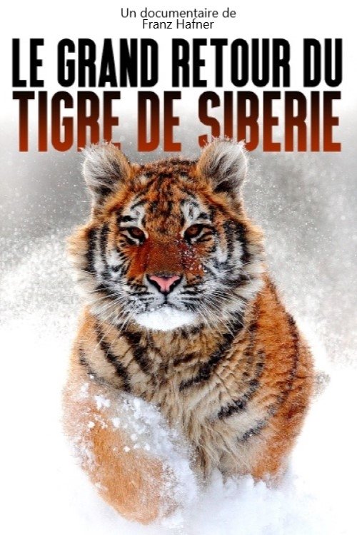 The Great Return of the Siberian Tiger (2021) poster
