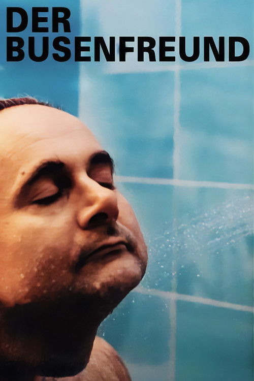 The Bosom Friend (1997) poster