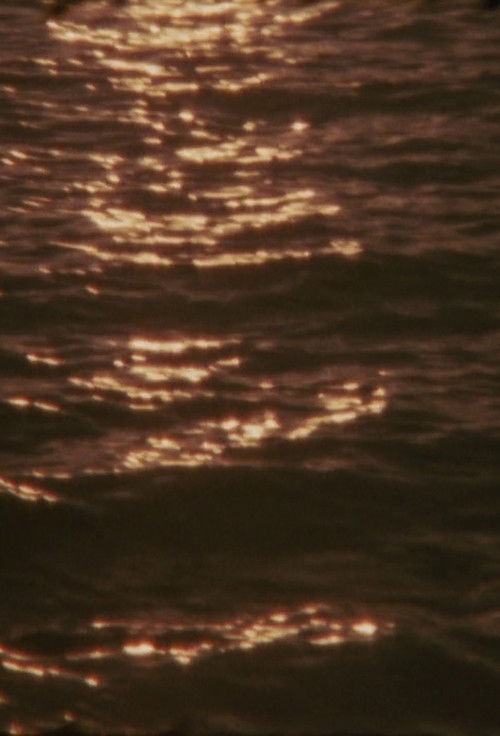 Umbra Viventis Lucis (2021) poster