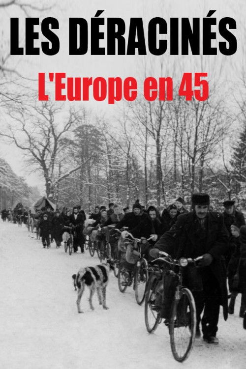 Les déracinés - L'Europe en 45 (2015) poster