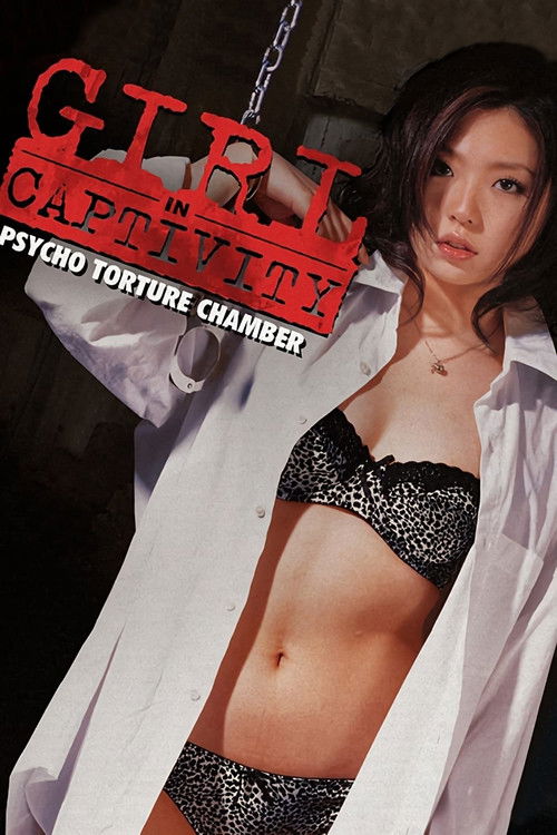 新・監禁逃亡 劇場版 (2008) poster