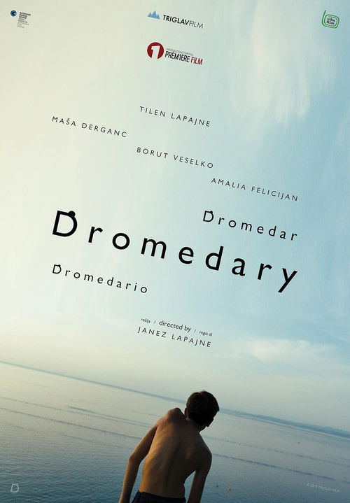 Dromedary (2019) poster