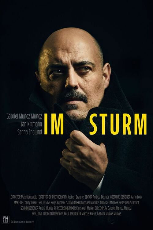 Im Sturm (2022) poster