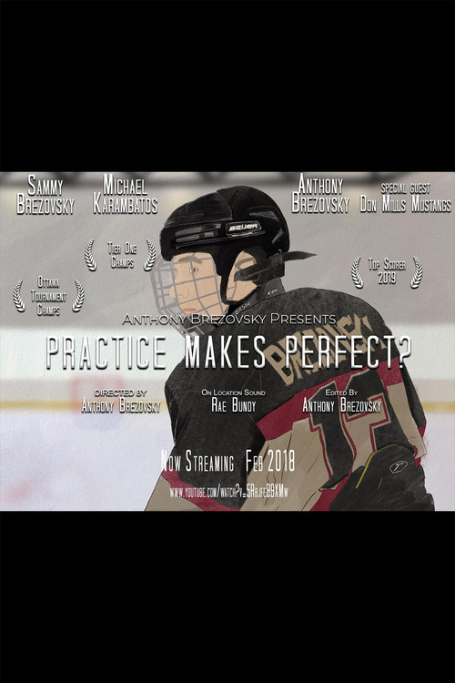 Practice Makes Perfect? (2018) poster