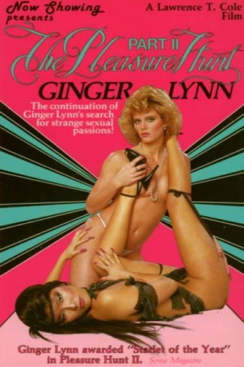 The Pleasure Hunt 2 (1985) poster