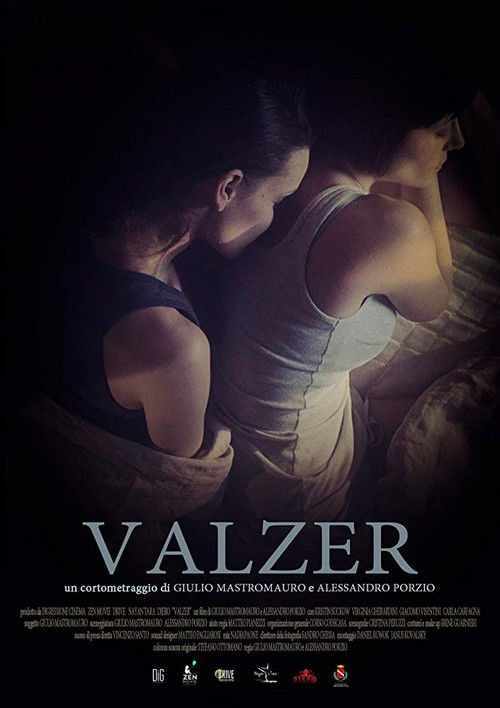 Valzer (2016) poster