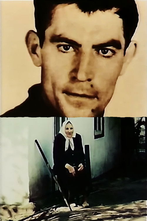 Come back to me, my memory (1992) poster