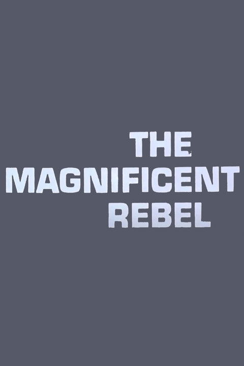 The Magnificent Rebel (1973) poster
