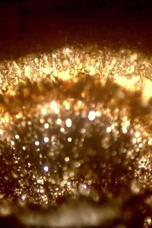 The Little Tools (2018) poster