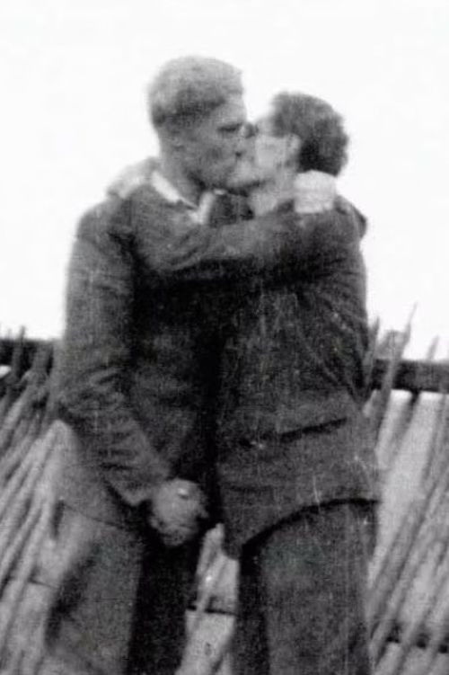 Genties išnykimas (2005) poster