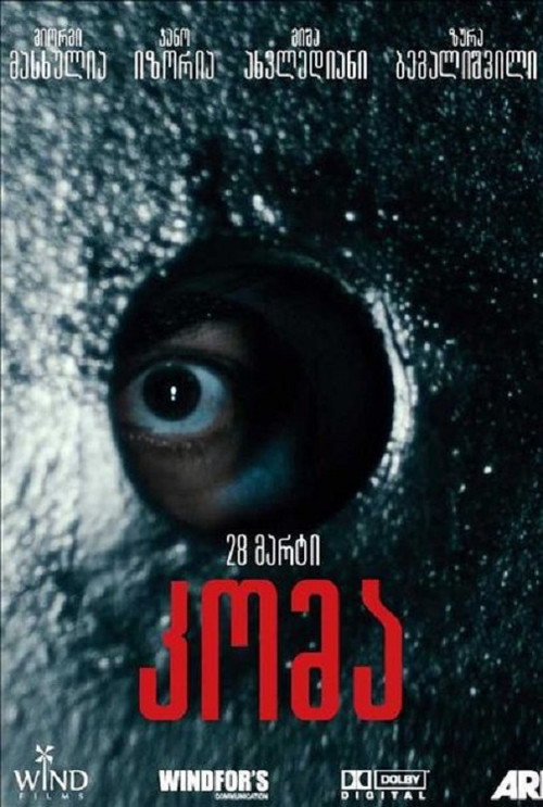 Koma (2013) poster