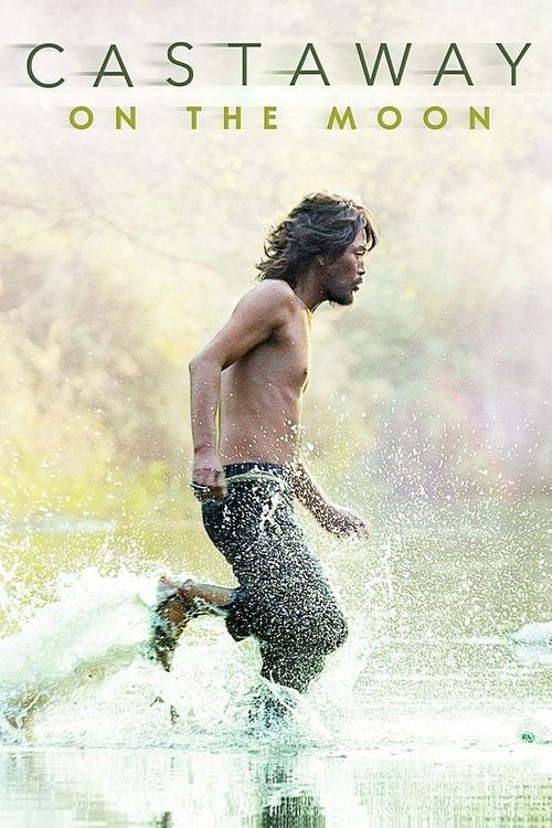 Castaway on the Moon (2009) poster