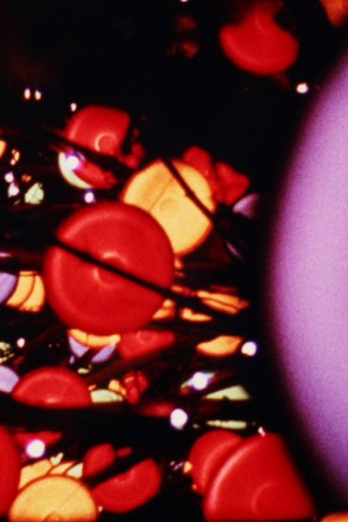 Lights (1966) poster